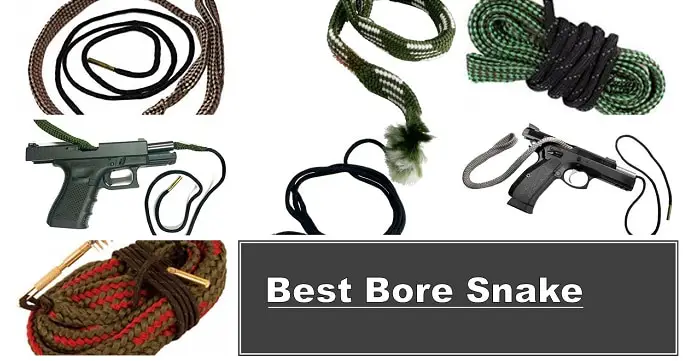 Best Bore Snake