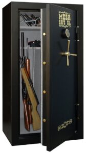 can you see the gun capacity of the Mesa Safe Company MBF6032E pictured here?